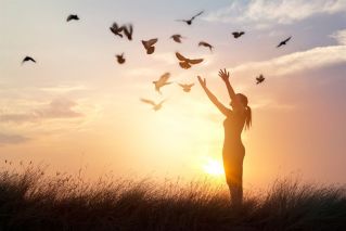 DOVE SUNSET.jpg